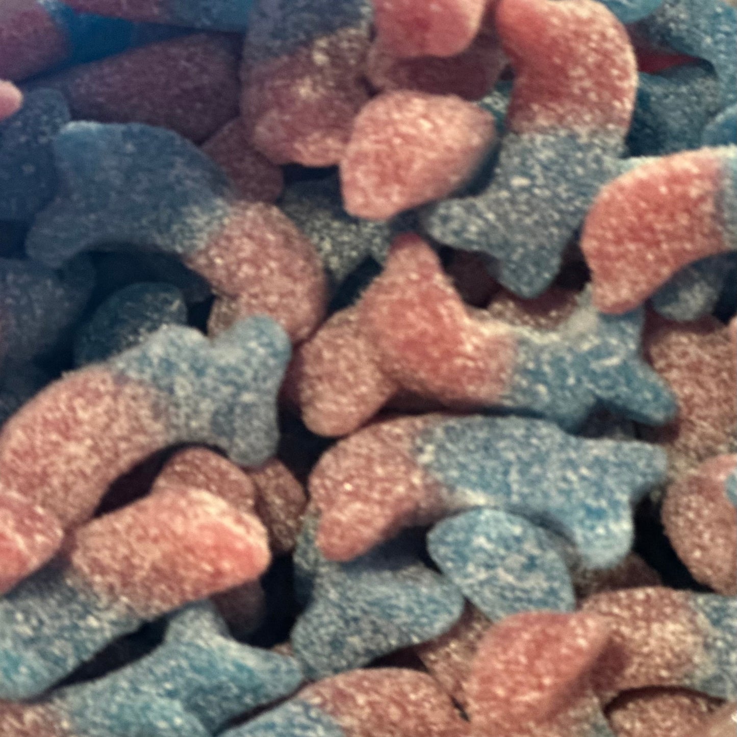 Fizzy Bubblegum Dolphins (V)